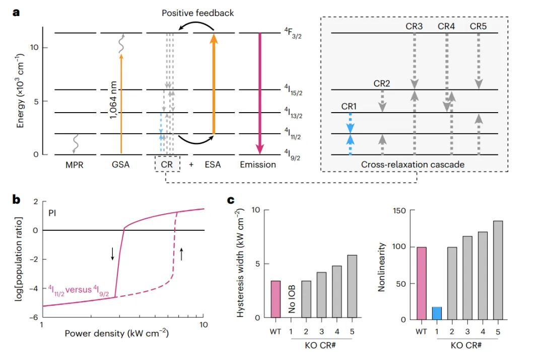 雪崩納米粒子ANPs中的本征光學(xué)雙穩(wěn)態(tài)IOB模型。