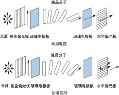 液晶 VOA 加電前后分子排列對(duì)比，展示偏振調(diào)控原理