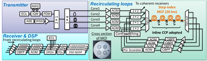 2×2聲光光開關(guān) 多芯光纖循環(huán)芯置換 芯間串?dāng)_抑制 3000 公里傳輸實驗 2×2聲光光開關(guān) 多芯光纖循環(huán)芯置換 芯間串?dāng)_抑制 3000 公里傳輸實驗