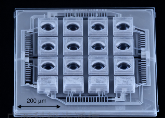 科毅MEMS微鏡陣列SEM照片
