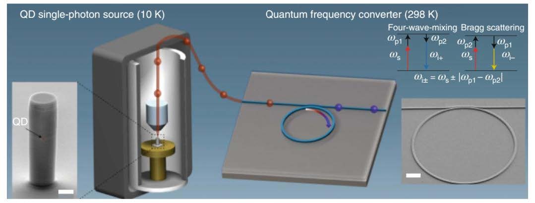 科毅寬溫光開關(guān)在東數(shù)西算工程光路調(diào)度示意圖